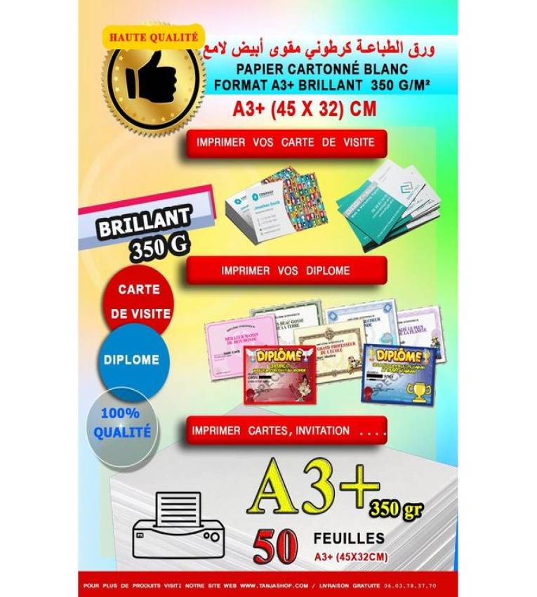 Pack 50 Feuilles Paper 350g A3+ (45x31cm) cartonné